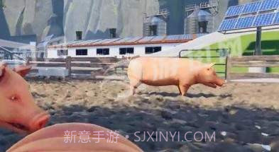 自己是一只猪截图1