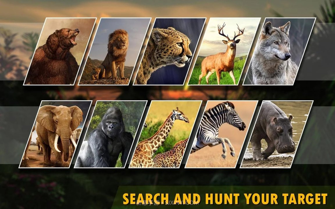 动物猎人2020单机版截图3 动物猎人2020单机版截图3