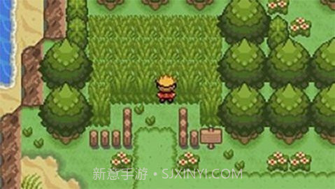 口袋妖怪釉色金手指截图3 口袋妖怪釉色金手指截图3