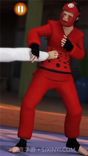 跆拳道格斗比赛截图4 跆拳道格斗比赛截图4