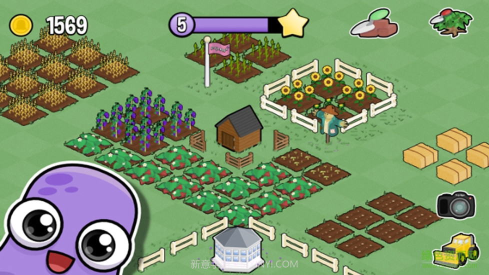 我的农场无限金币截图1