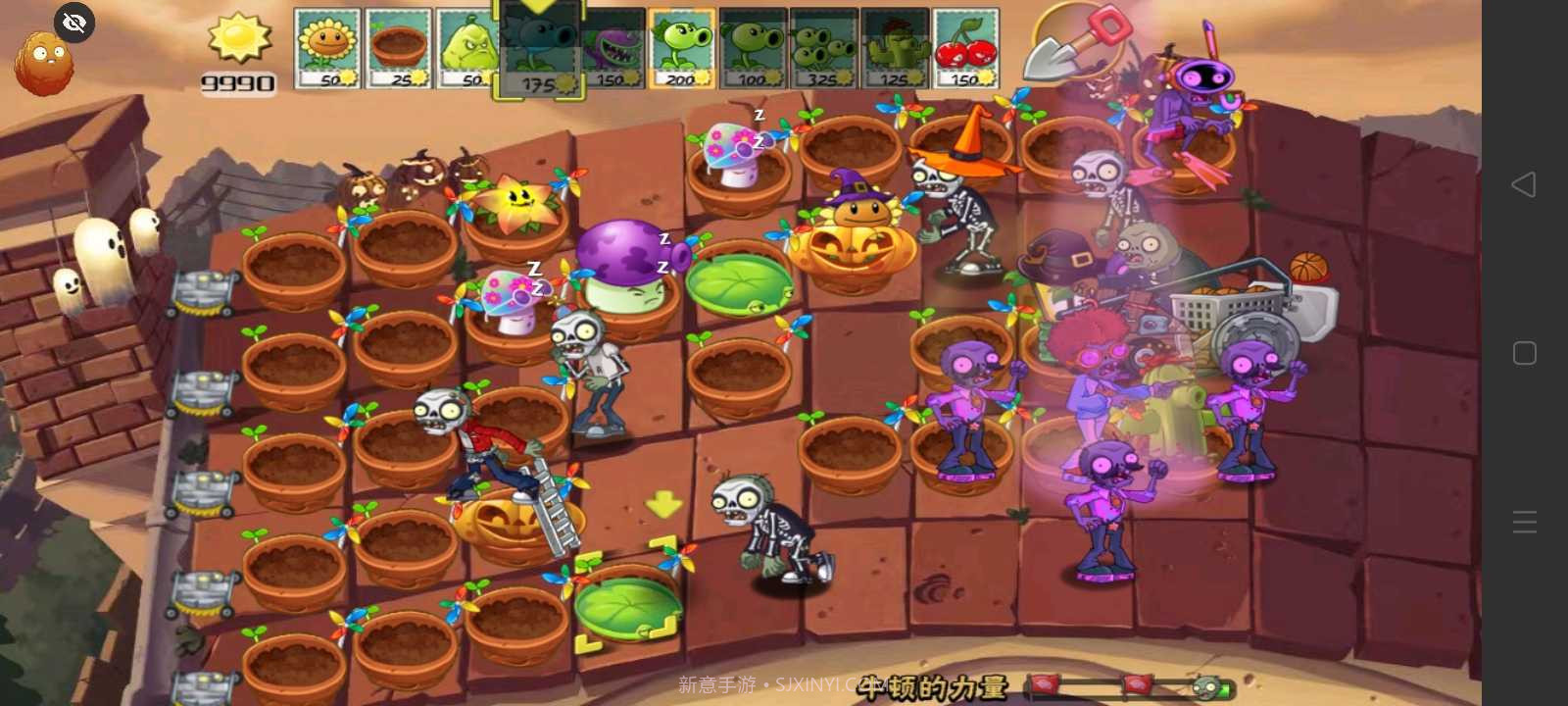 PvZ末日草坪PAK截图1 PvZ末日草坪PAK截图1