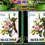 IGS经典游戏大合集截图2