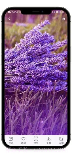 枫叶壁纸截图2 枫叶壁纸截图2