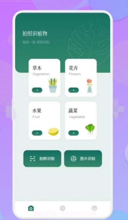 智能识图识物截图3