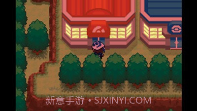 口袋妖怪失落的三国截图2