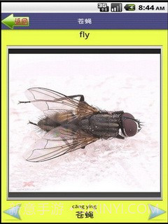 看图识字昆虫篇截图4 看图识字昆虫篇截图4