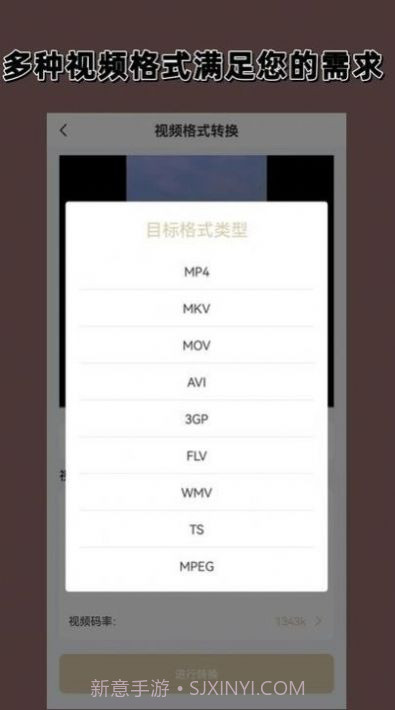 视频格式转换大师截图3 视频格式转换大师截图3
