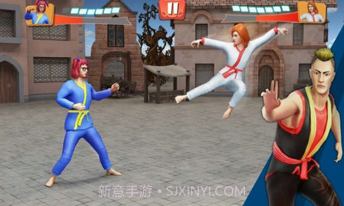 标记队空手道战虎截图2