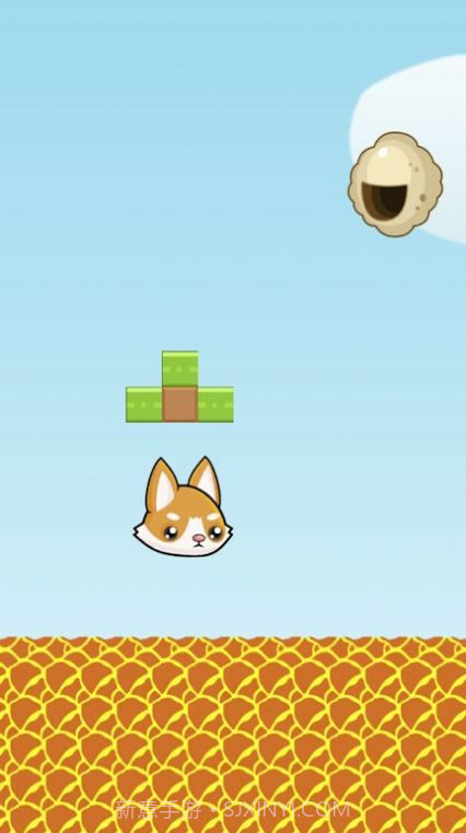 救救那只猫截图2 救救那只猫截图2