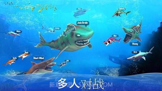 双头鲨鱼袭击(Double Head Shark Attack)截图1 双头鲨鱼袭击(Double Head Shark Attack)截图1