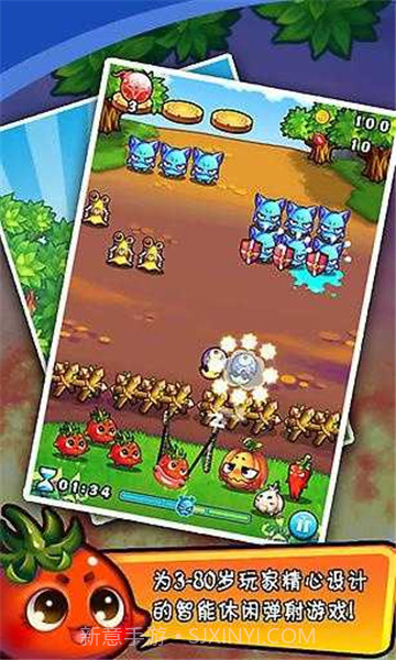 燃烧的蔬菜新年版截图1