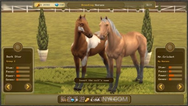 障碍赛马冠军3截图2