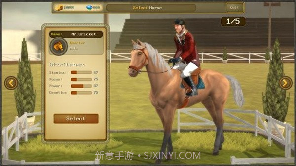 障碍赛马冠军3截图4