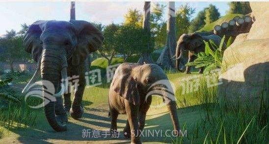 动物园之星PlanetZoo手机版截图4 动物园之星PlanetZoo手机版截图4