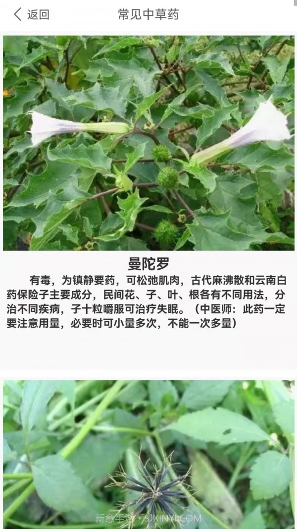 养生健康减肥截图3 养生健康减肥截图3