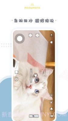 MeowMate截图2 MeowMate截图2