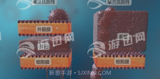 细菌互动教育免费版截图2 细菌互动教育免费版截图2