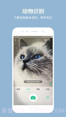 拍照识花宝截图1 拍照识花宝截图1