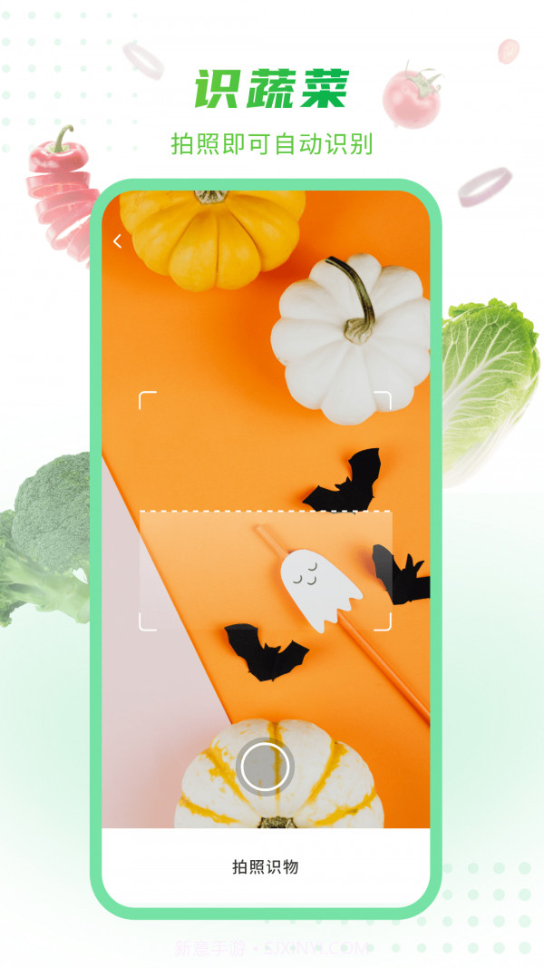 有机蔬菜大全截图1 有机蔬菜大全截图1