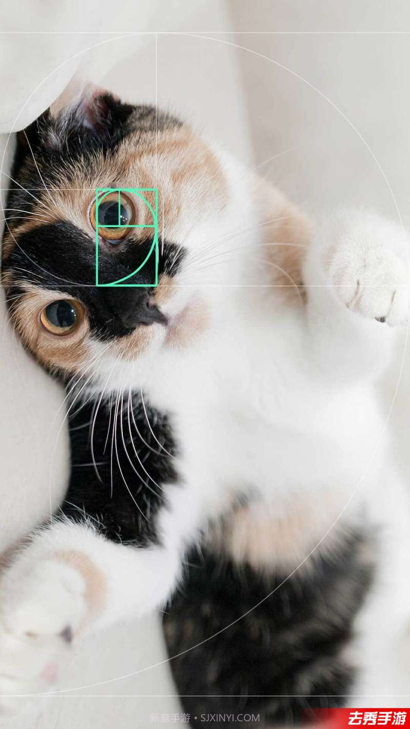 Cam0.618截图1 Cam0.618截图1