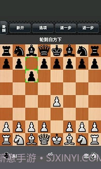 国际象棋下载截图4