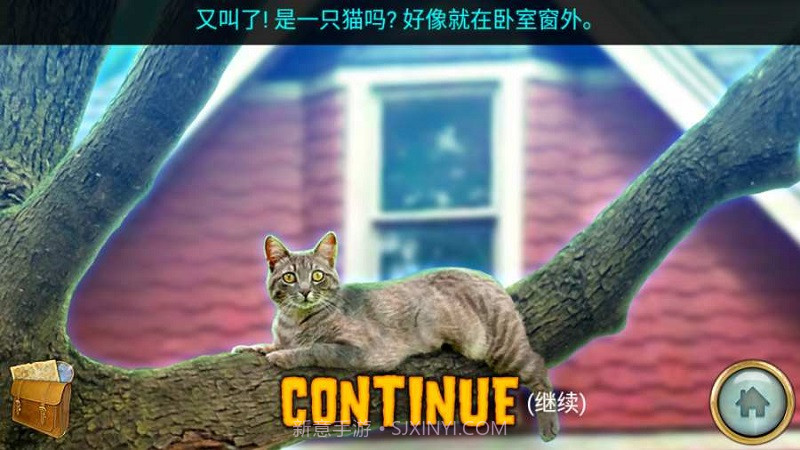 密林溪流截图2 密林溪流截图2