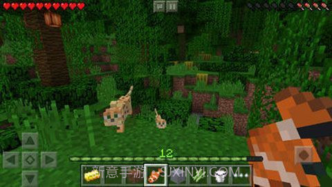 我的世界 1.11.0.1版截图1 我的世界 1.11.0.1版截图1