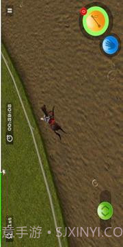 Derby Horse Quest截图2 Derby Horse Quest截图2