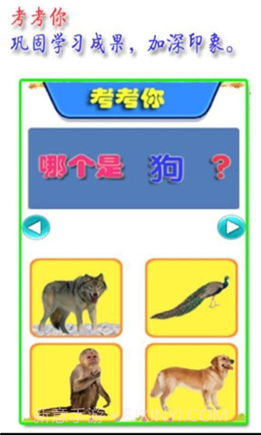 宝宝认识动物截图2