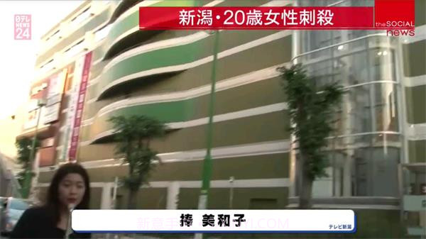 大视界tv港澳台版截图1