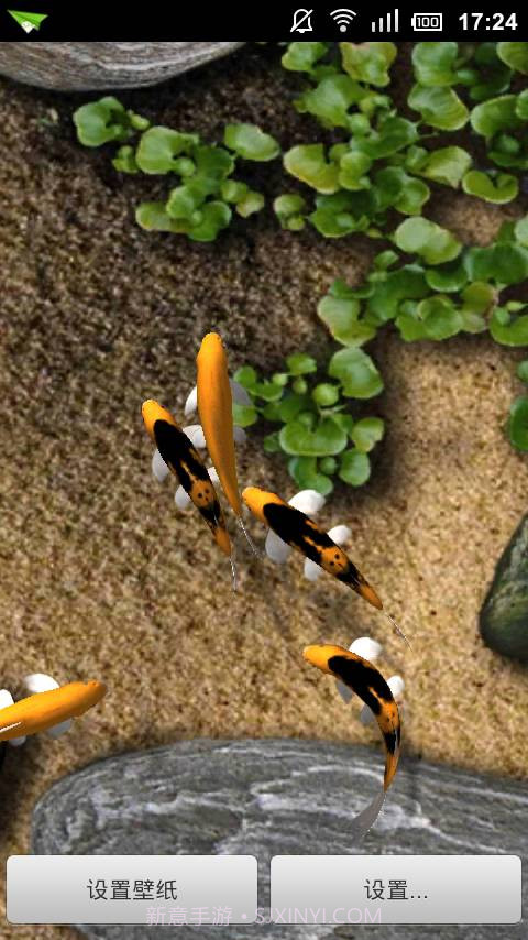 Koi截图2 Koi截图2