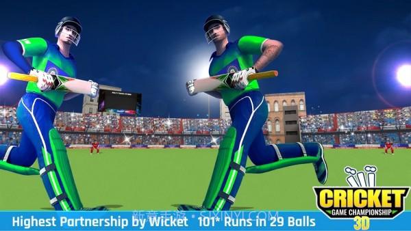 板球比赛冠军3D截图3 板球比赛冠军3D截图3