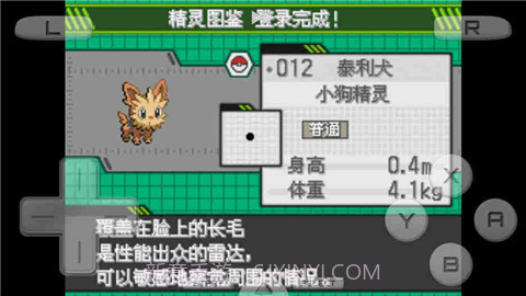 口袋妖怪白截图3 口袋妖怪白截图3