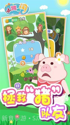小猪快闪截图4