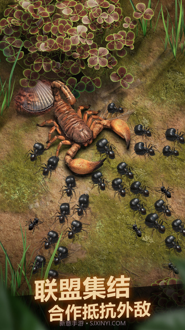小小蚁国截图5