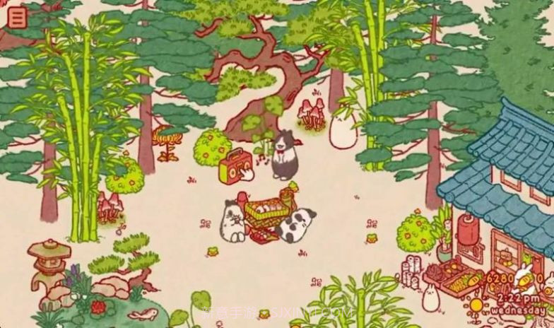 兔兔岛免广告版截图2 兔兔岛免广告版截图2