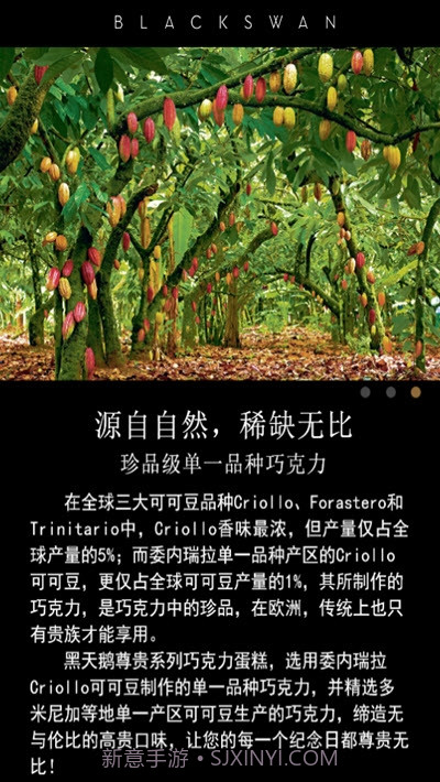 黑天鹅蛋糕截图3 黑天鹅蛋糕截图3