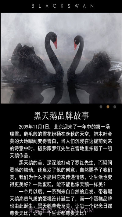 黑天鹅蛋糕截图2 黑天鹅蛋糕截图2