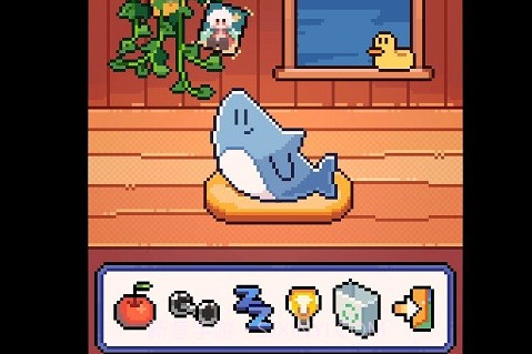 我的小鲨鱼手机版截图1 我的小鲨鱼手机版截图1