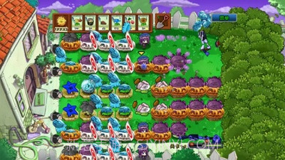 植物大战僵尸坤坤版截图1 植物大战僵尸坤坤版截图1