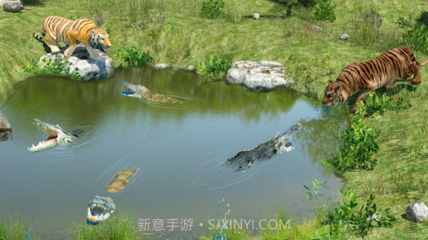野生老虎模拟器官网版截图4