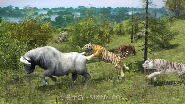 野生老虎模拟器官网版截图2