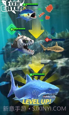 鲨鲨进化论截图4 鲨鲨进化论截图4