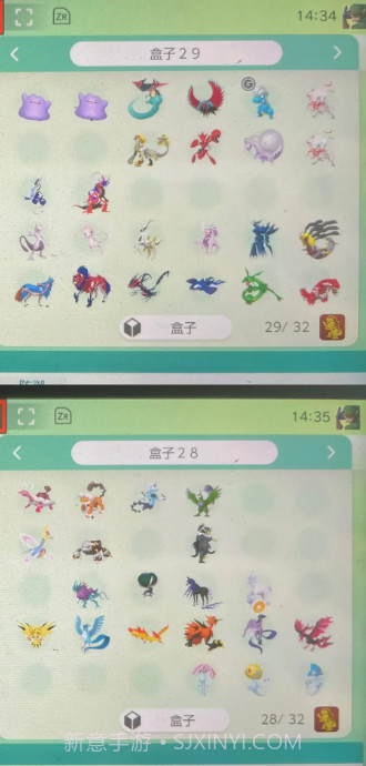 宝可梦Home国际服截图3