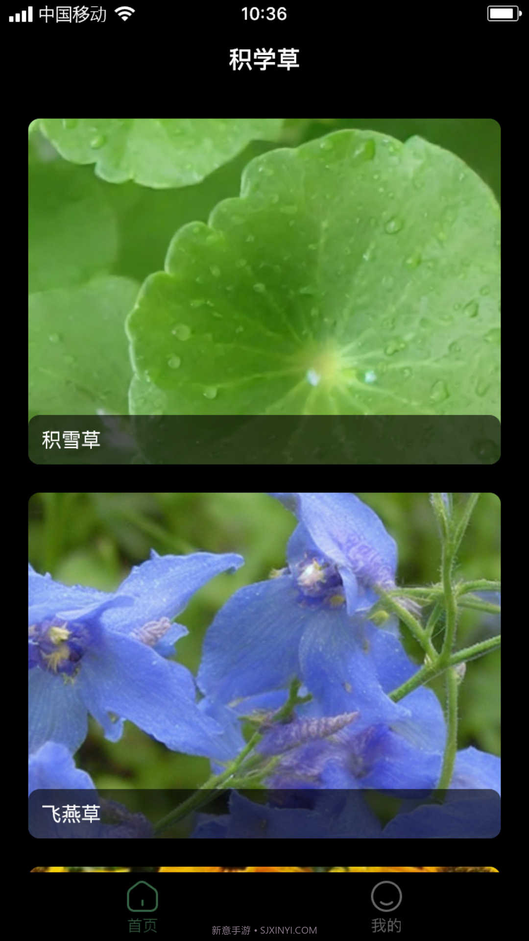 积学草截图1 积学草截图1