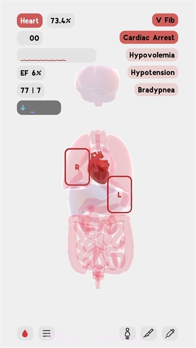 生命人体模拟器截图2