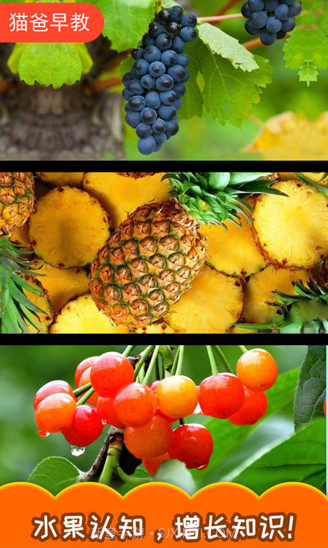 宝宝切水果截图4