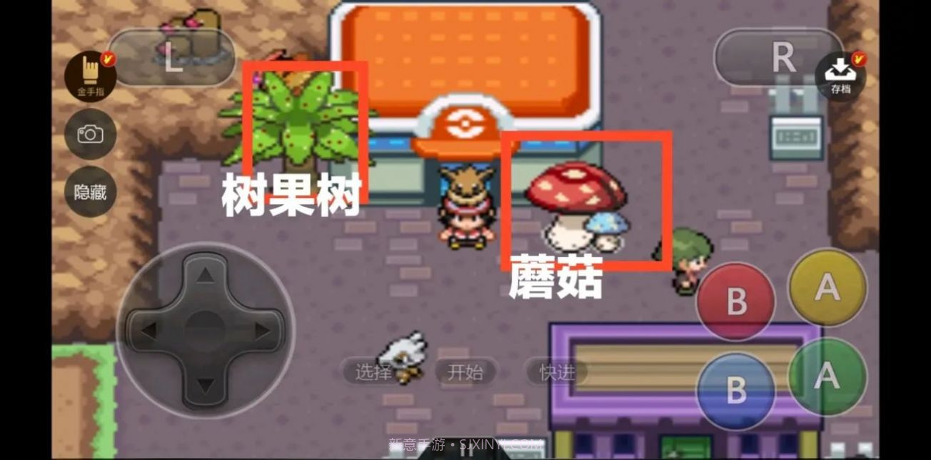 口袋妖怪绝对魂银截图2