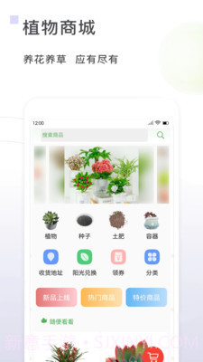 一花草截图3